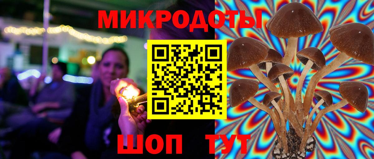 Псилоцибиновые грибы мухоморы  купить наркоту  Корсаков  Вход с VPN 